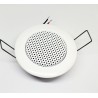 ALTAVOZ TECHO EIS BLANCON 2"