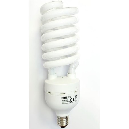 LUZ,BOMBILLA,BAJO CONSUMO,PRILUX,PHILIPS,OSRAM,LAMPARA,DIURNA