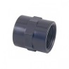 MANGUITO MIXT0 ENCOLAR 50MM ROSCAR 11/2" PVC PLASTERAL PN-16