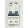MAGNETOTERMICO 2P,  C40A.  MERLIN GUERIN MULTI9 C60N