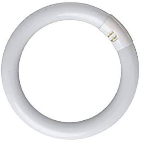 TUBO FLUORESCENTE CIRCULAR SYLVANIA 22W 4PIN BLANCO FRÍO 1250 LÚMENES T9 fc22W/865