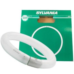 TUBO FLUORESCENTE CIRCULAR SYLVANIA 22W 4PIN BLANCO FRÍO 1250 LÚMENES T9 fc22W/865
