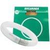 TUBO FLUORESCENTE CIRCULAR SYLVANIA 22W 4PIN BLANCO FRÍO 1250 LÚMENES T9 fc22W/865