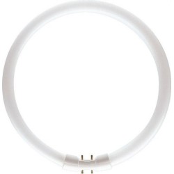 TUBO FLUORESCENTE CIRCULAR MASTER TL5 Circular 60W/840 2GX13 PHILIPS