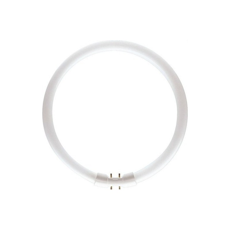 TUBO FLUORESCENTE CIRCULAR MASTER TL5 Circular 60W/840 2GX13 PHILIPS