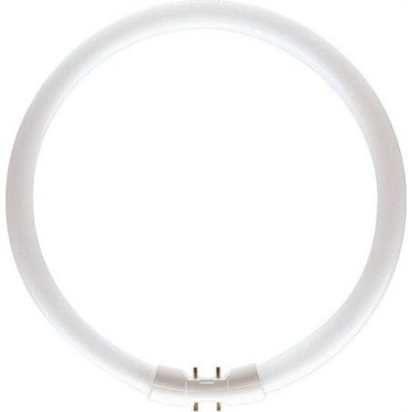 TUBO FLUORESCENTE CIRCULAR MASTER TL5 Circular 60W/840 2GX13 PHILIPS