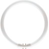 TUBO FLUORESCENTE CIRCULAR MASTER TL5 Circular 60W/840 2GX13 PHILIPS