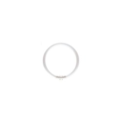 TUBO FLUORESCENTE CIRCULAR MASTER TL5 Circular 60W/840 2GX13 PHILIPS