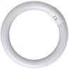 TUBO FLUORESCENTE CIRCULAR TRISFOSFORO  22W 4PIN BLANCO FRÍO 1200 LÚMENES T9 6000ºK DIA DH