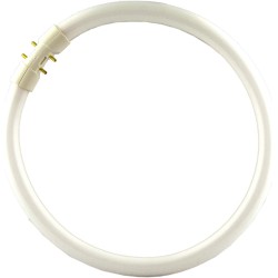 TUBO FLUORESCENTE CIRCULAR MASTER TL5 Circular 60W/840 2GX13 PHILIPS