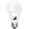 Bombilla LED A60 con sensor CREPUSCULAR día/noche. E27. 230VAC.9W,6000ºK